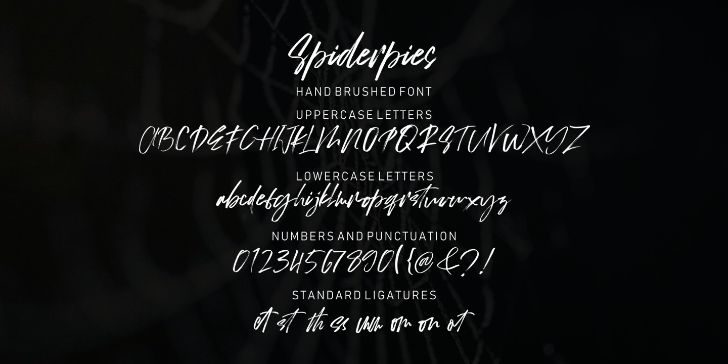 Пример шрифта Spiderpies Regular